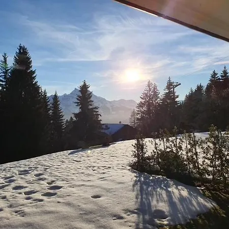 Bel En Montagne Ollon