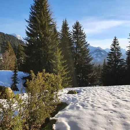 Bel En Montagne * Ollon